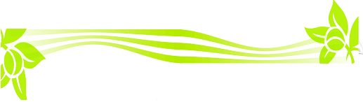 image of vine and leaves to serve as divider